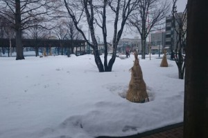 2015年3月13日　北海道出張